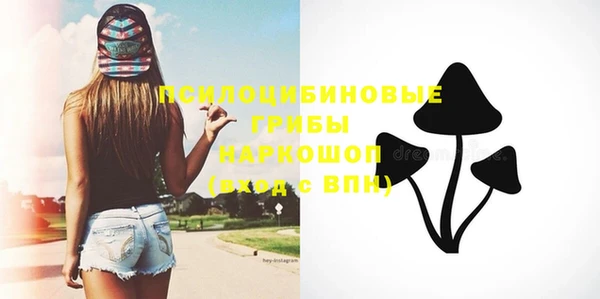 винт Армянск